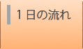 １日の流れ